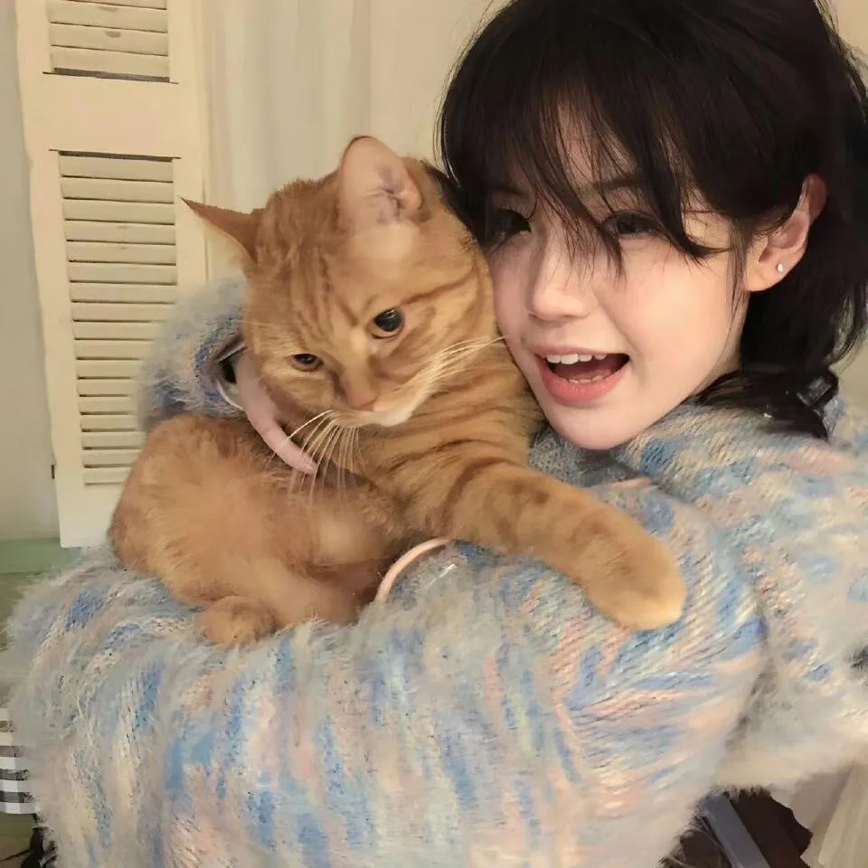 碧蓝之海第二季